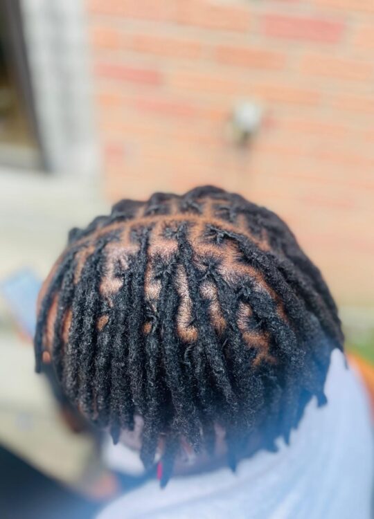 Starter Locs