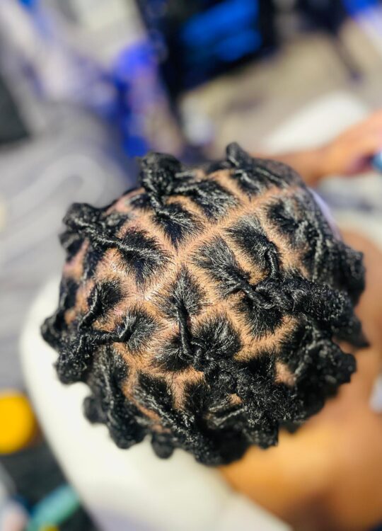 Locs Repair