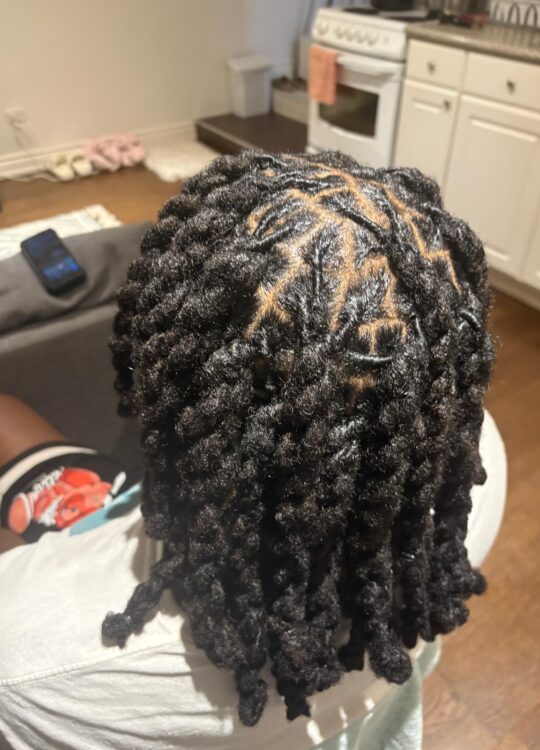  Locs Extensions