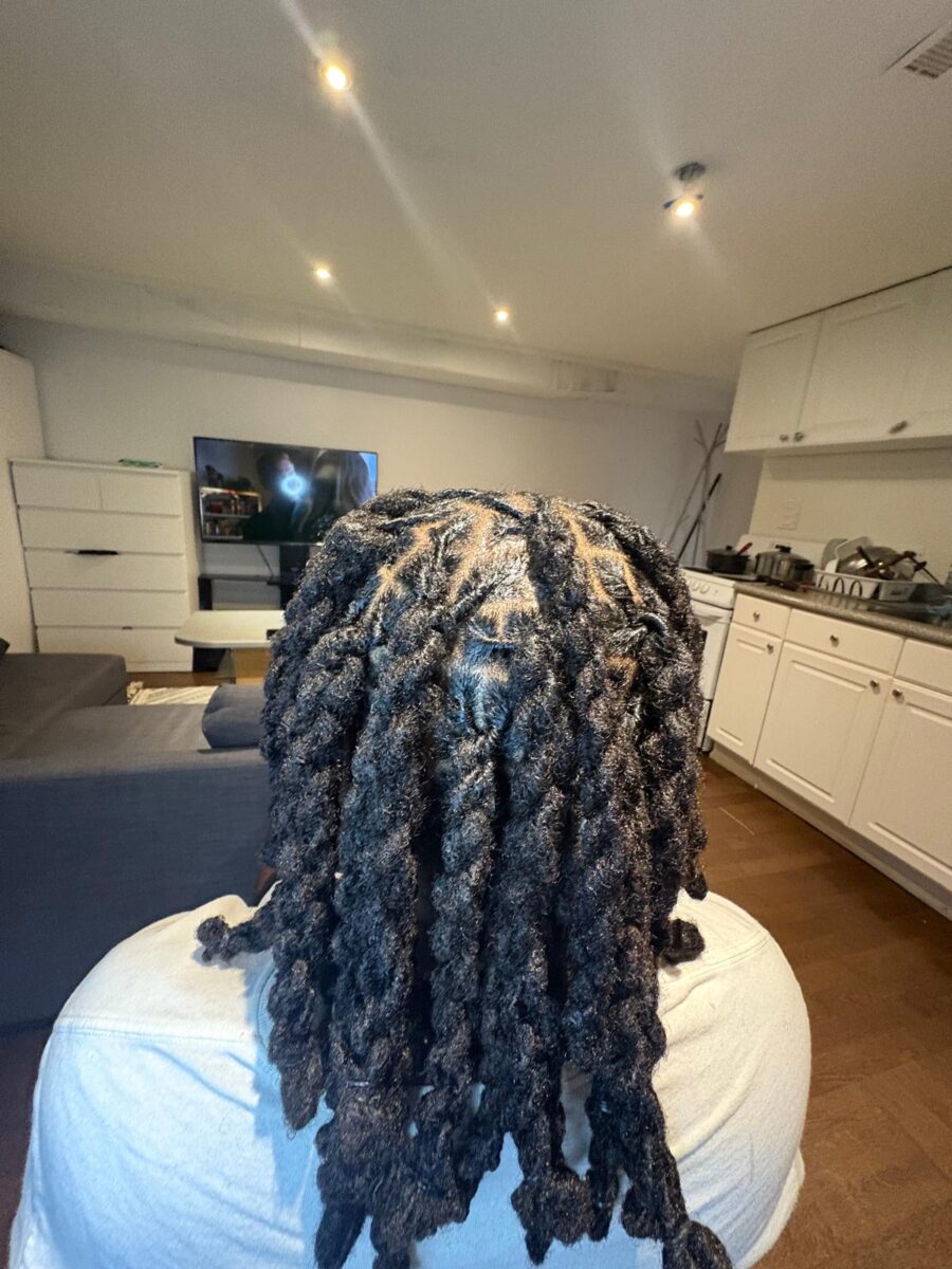 Starter locs
